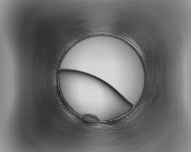 X0000116390393200912021010