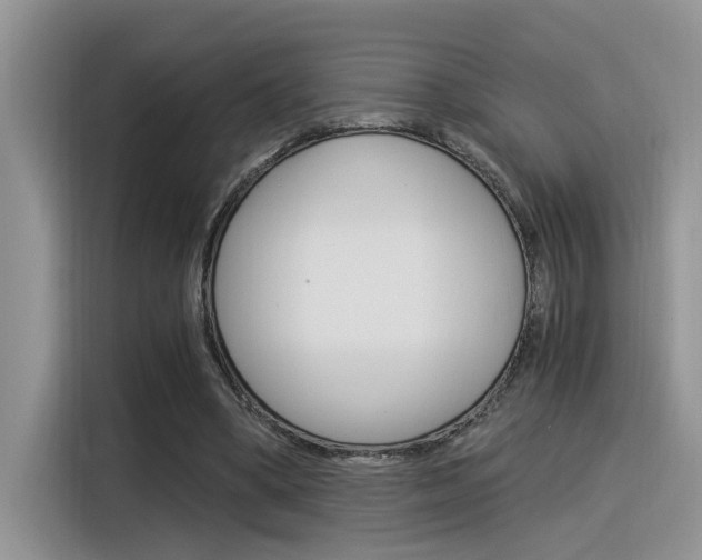 X0000116390394200912021010
