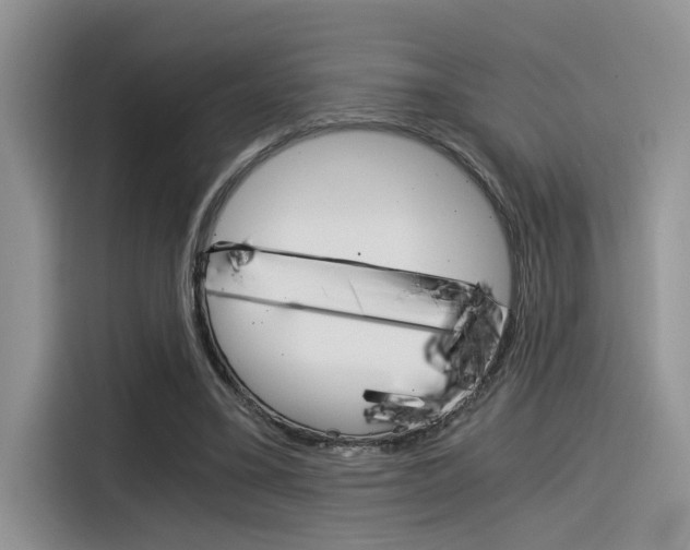 X0000116390395200912021010