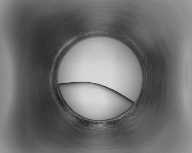 X0000116390396200912021010