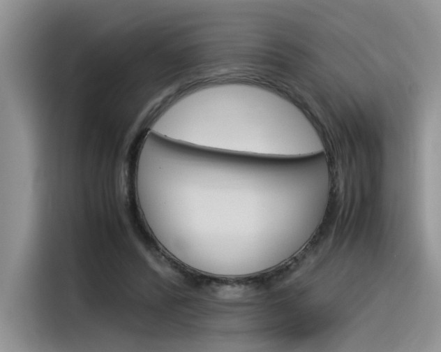 X0000116390400200912021010