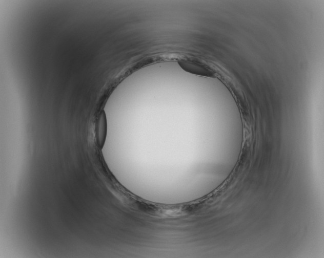 X0000116390401200912021010