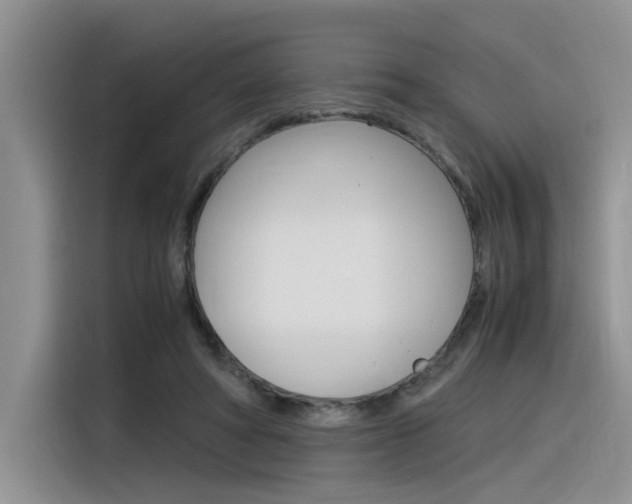 X0000116390402200912021010