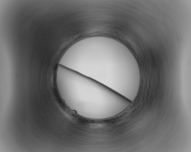 X0000116390404200912021010