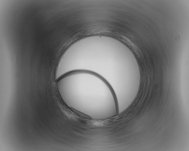 X0000116390405200912021010