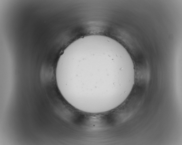 X0000116390411200912021010