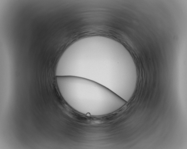 X0000116390412200912021010