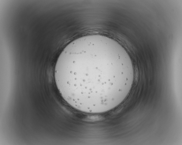 X0000116390414200912021010
