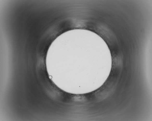 X0000116390415200912021010