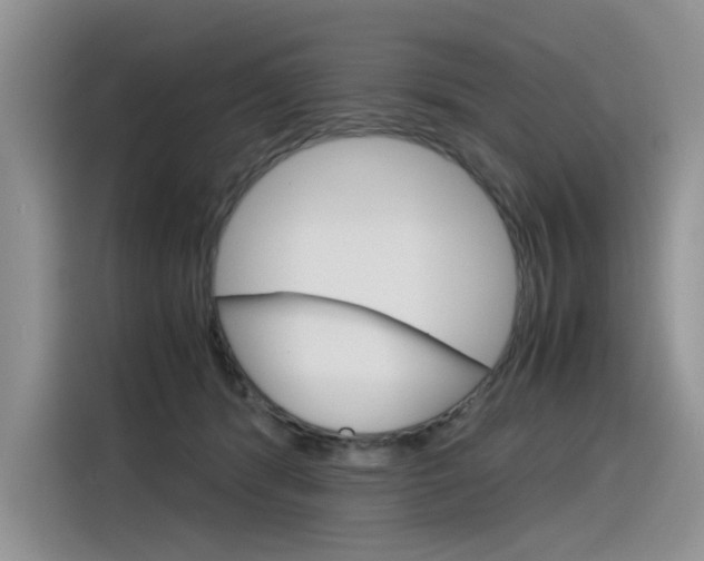 X0000116390416200912021010