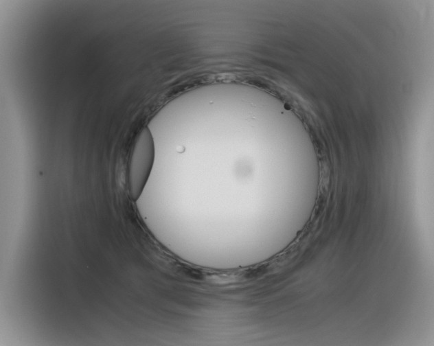 X0000116390417200912021010