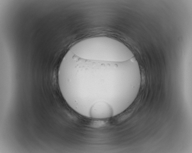 X0000116390418200912021010