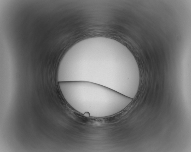 X0000116390420200912021010