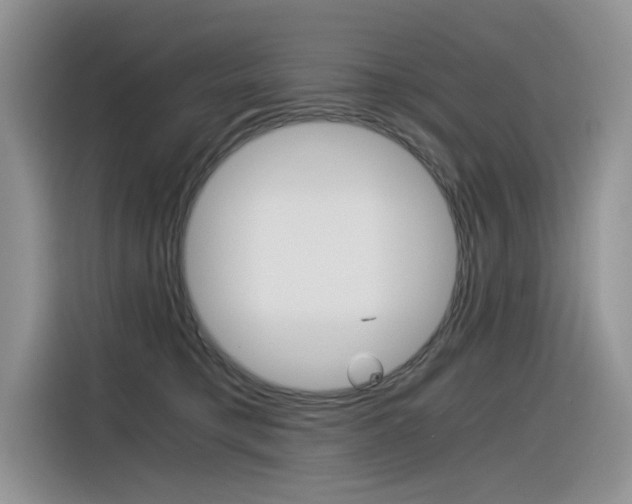 X0000116390421200912021010