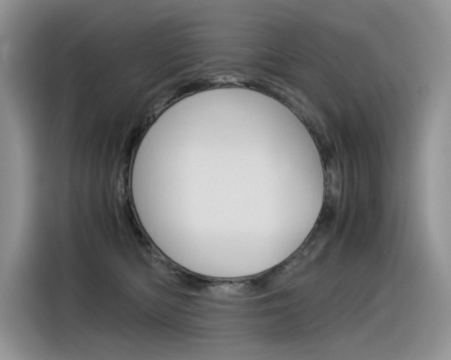 X0000116390422200912021010