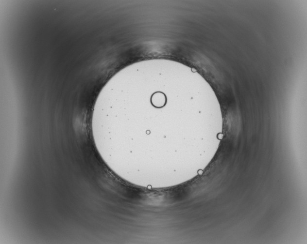 X0000116390423200912021010