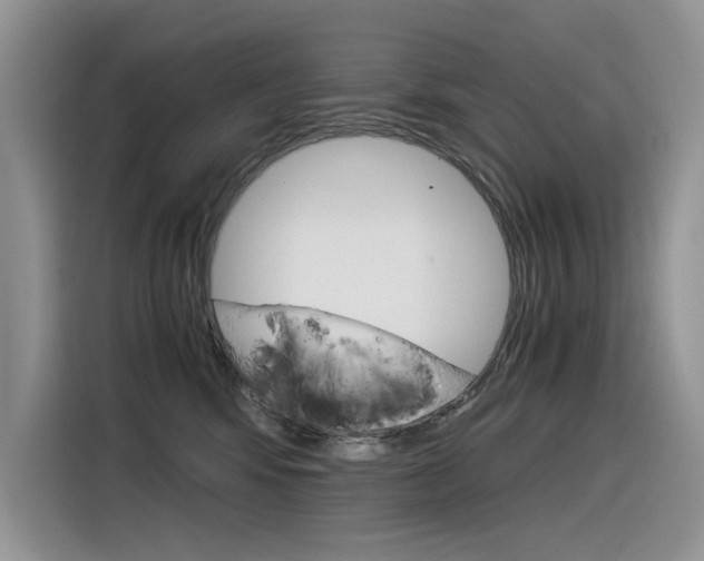 X0000116390424200912021010