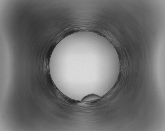 X0000116390425200912021010