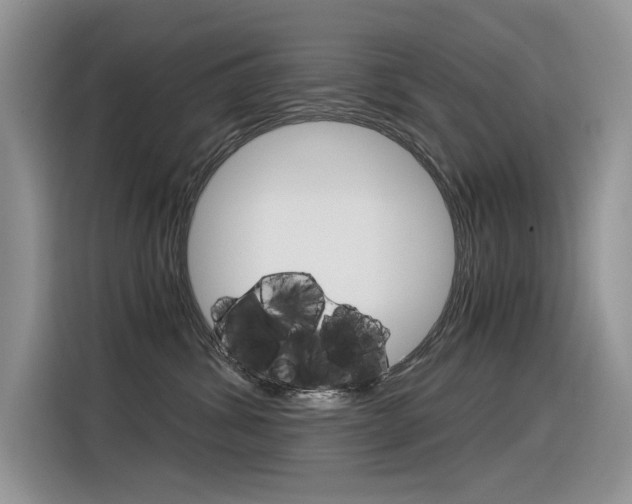 X0000116390428200912021010