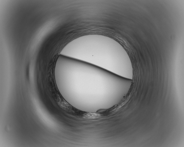X0000116390429200912021010