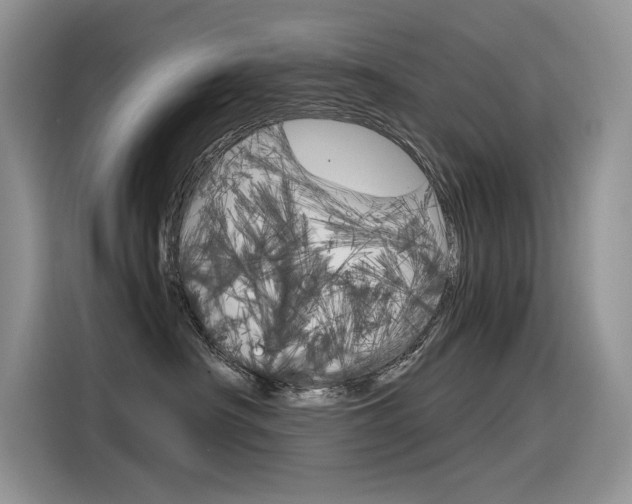 X0000116390430200912021010
