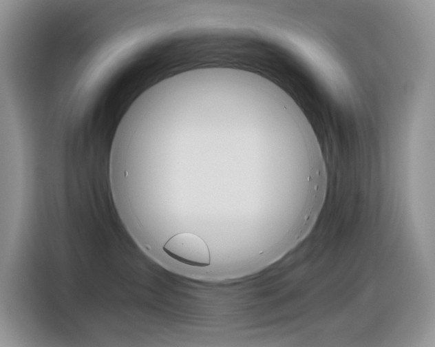 X0000116390431200912021010