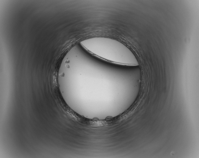 X0000116390432200912021010