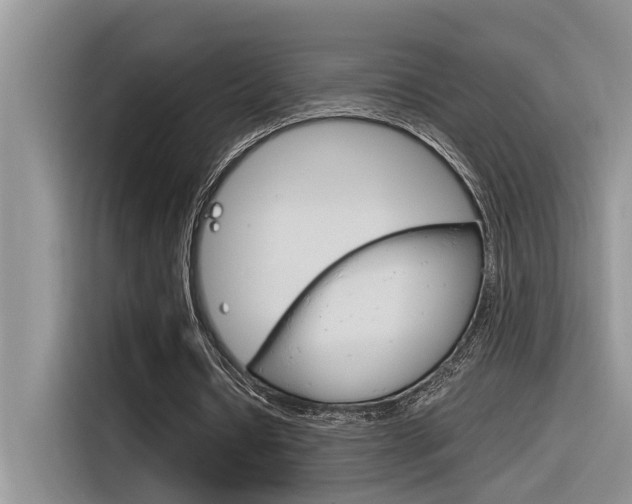 X0000116390434200912021009