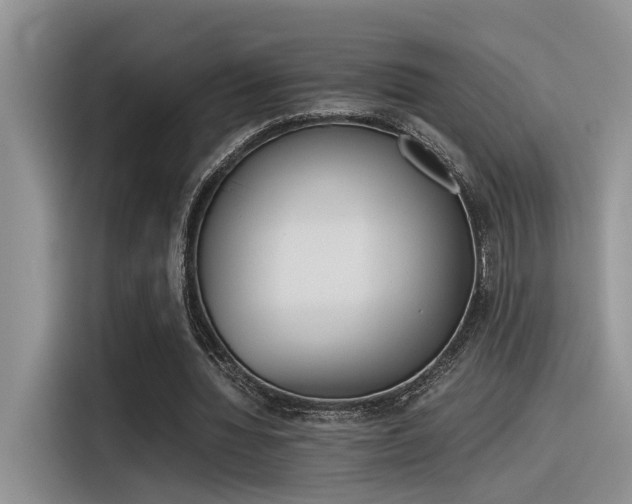 X0000116390436200912021009