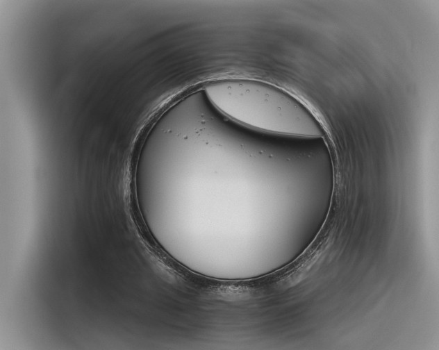 X0000116390437200912021009