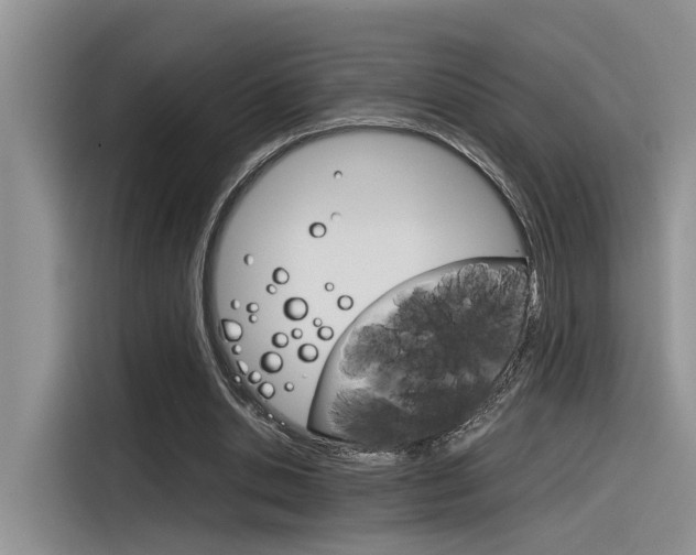 X0000116390438200912021009
