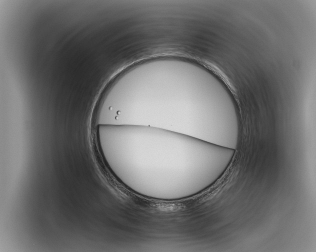 X0000116390439200912021009