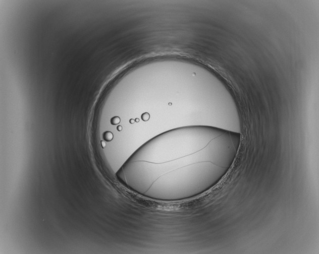 X0000116390440200912021009