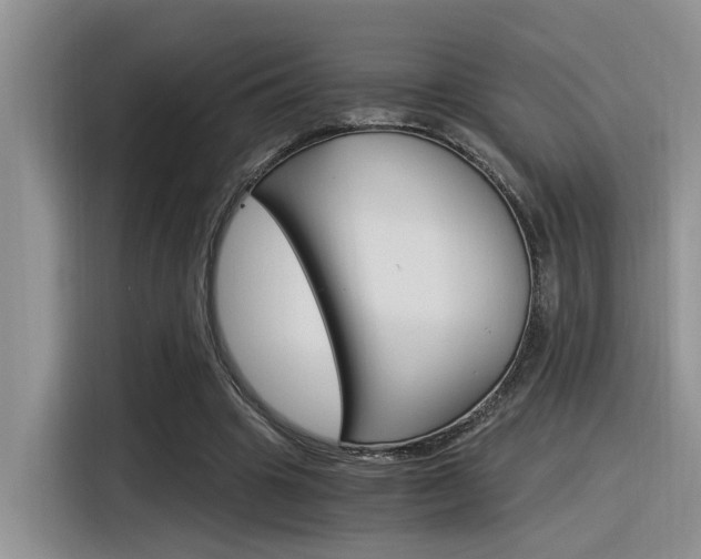 X0000116390441200912021009