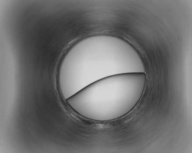X0000116390442200912021009