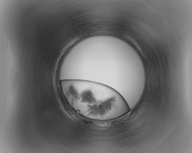 X0000116390443200912021009