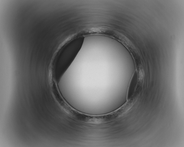 X0000116390444200912021009