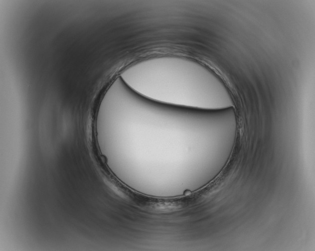 X0000116390445200912021009