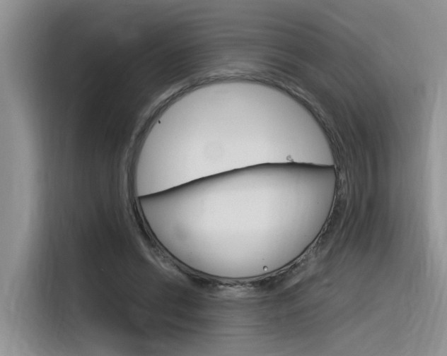 X0000116390446200912021009