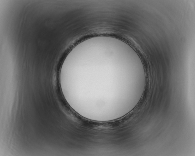 X0000116390447200912021009