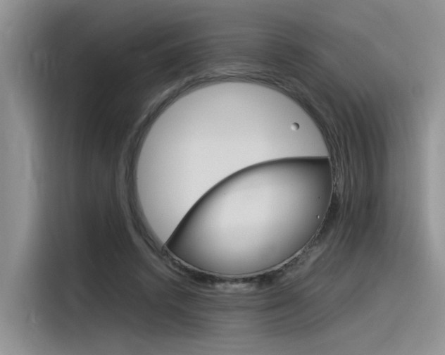 X0000116390448200912021009