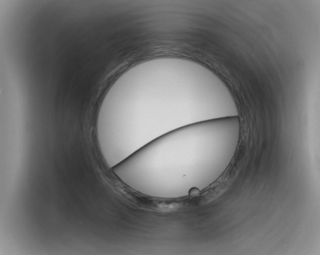 X0000116390450200912021009
