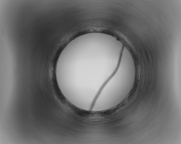 X0000116390451200912021009