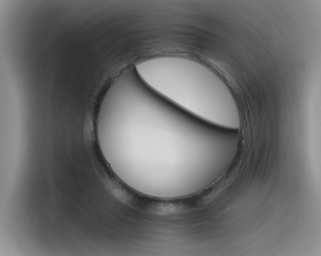 X0000116390453200912021009