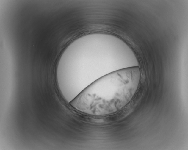 X0000116390454200912021009
