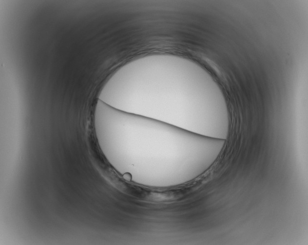 X0000116390455200912021009