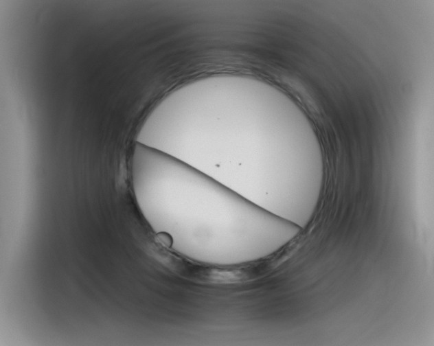 X0000116390457200912021009