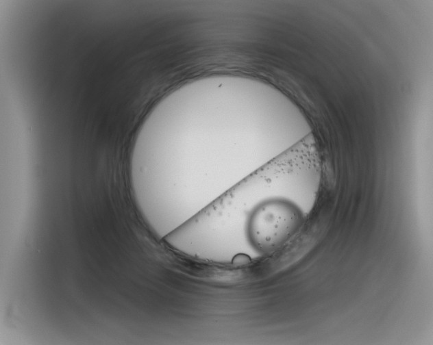 X0000116390458200912021009