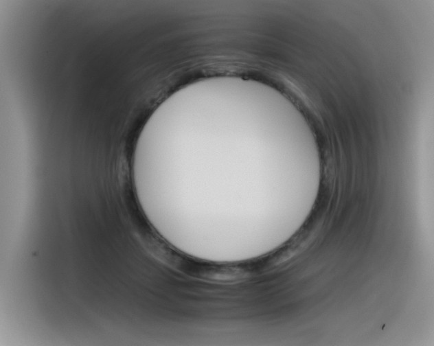 X0000116390459200912021009