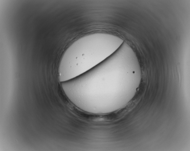 X0000116390460200912021009